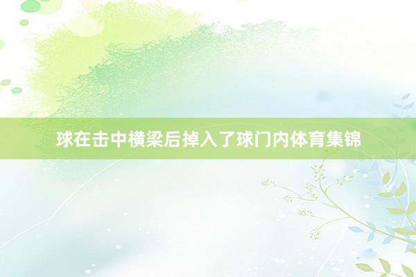 球在击中横梁后掉入了球门内体育集锦
