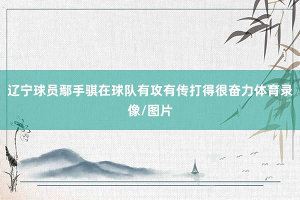 辽宁球员鄢手骐在球队有攻有传打得很奋力体育录像/图片