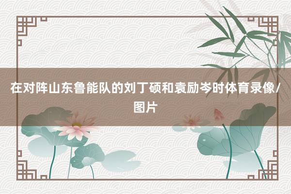 在对阵山东鲁能队的刘丁硕和袁励岑时体育录像/图片