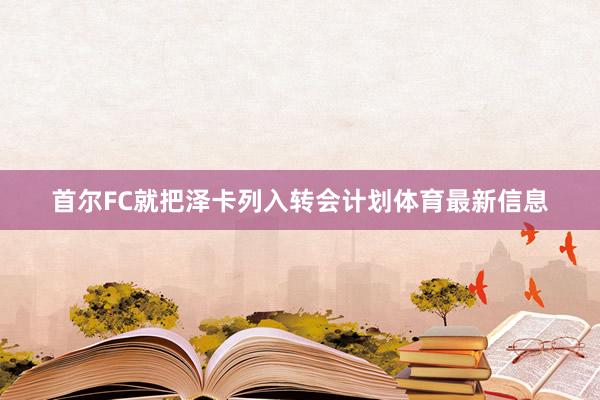 首尔FC就把泽卡列入转会计划体育最新信息