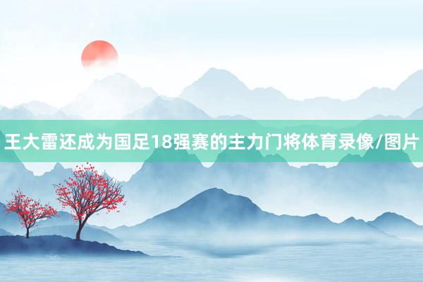 王大雷还成为国足18强赛的主力门将体育录像/图片