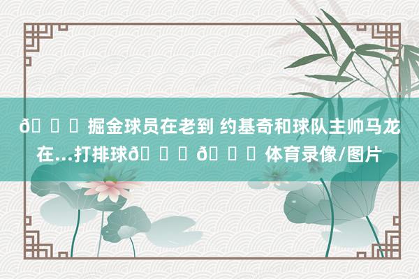 😅掘金球员在老到 约基奇和球队主帅马龙在...打排球😆🏐体育录像/图片