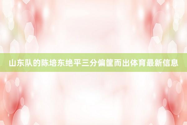 山东队的陈培东绝平三分偏筐而出体育最新信息