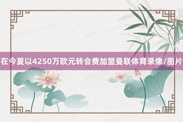 在今夏以4250万欧元转会费加盟曼联体育录像/图片