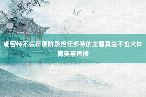 施密特不会在现阶段担任多特的主磨真金不怕火体育赛事直播