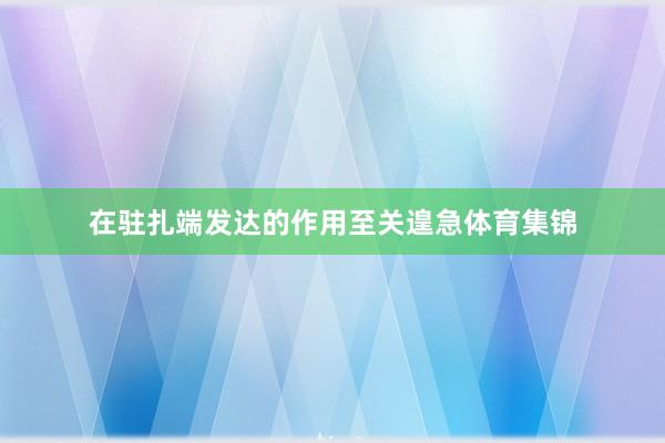 在驻扎端发达的作用至关遑急体育集锦