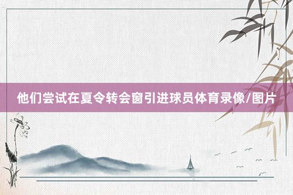 他们尝试在夏令转会窗引进球员体育录像/图片