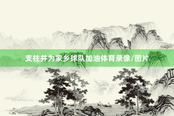 支柱并为家乡球队加油体育录像/图片