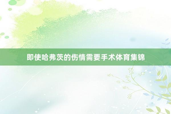 即使哈弗茨的伤情需要手术体育集锦