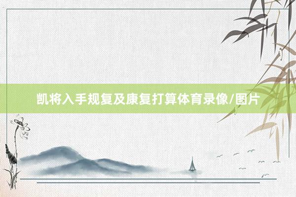 凯将入手规复及康复打算体育录像/图片