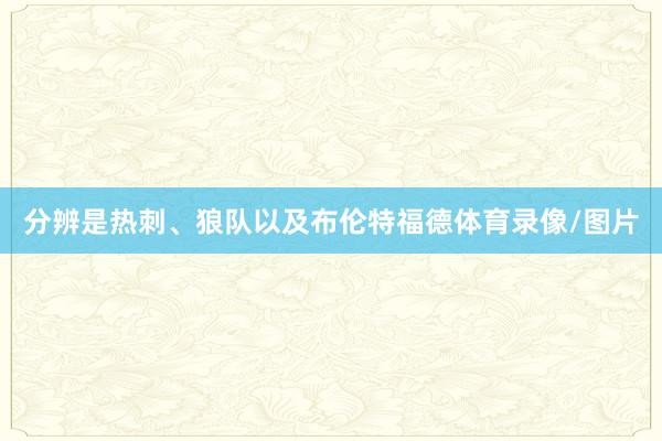 分辨是热刺、狼队以及布伦特福德体育录像/图片
