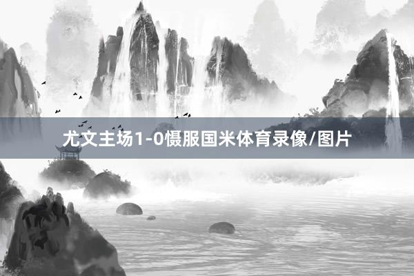 尤文主场1-0慑服国米体育录像/图片