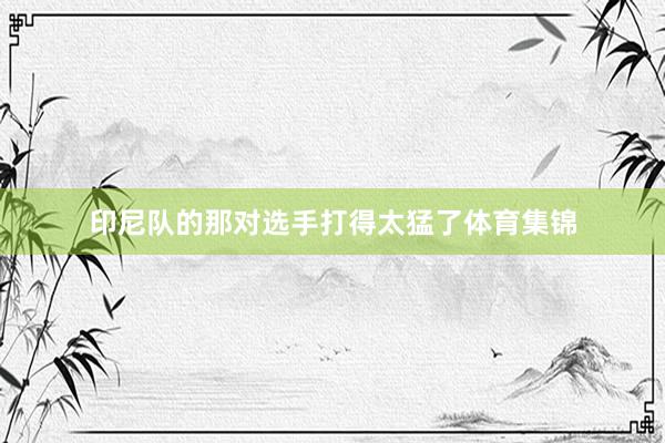 印尼队的那对选手打得太猛了体育集锦