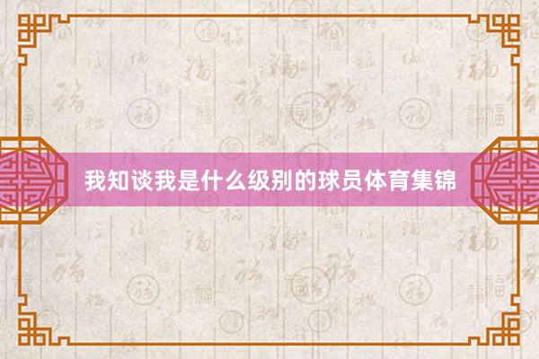 我知谈我是什么级别的球员体育集锦