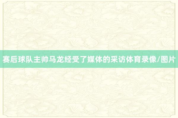 赛后球队主帅马龙经受了媒体的采访体育录像/图片