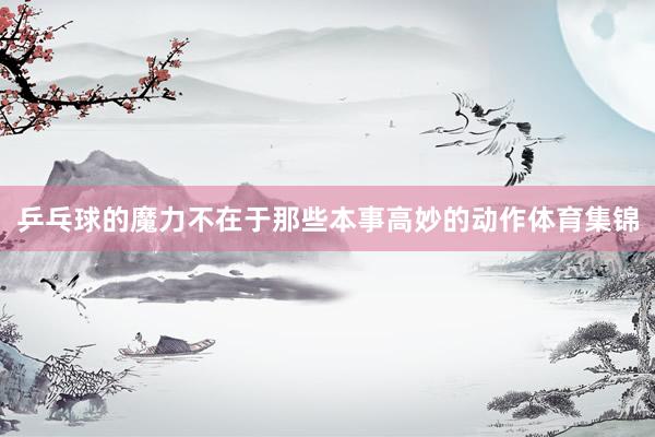 乒乓球的魔力不在于那些本事高妙的动作体育集锦