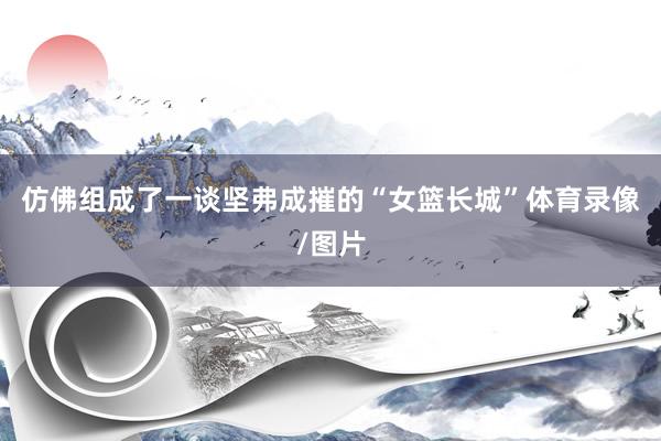仿佛组成了一谈坚弗成摧的“女篮长城”体育录像/图片