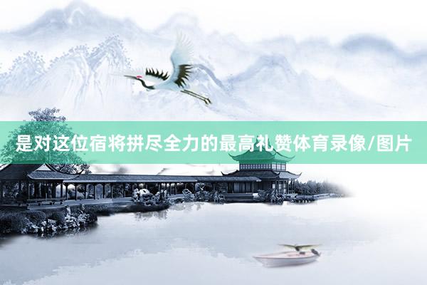 是对这位宿将拼尽全力的最高礼赞体育录像/图片