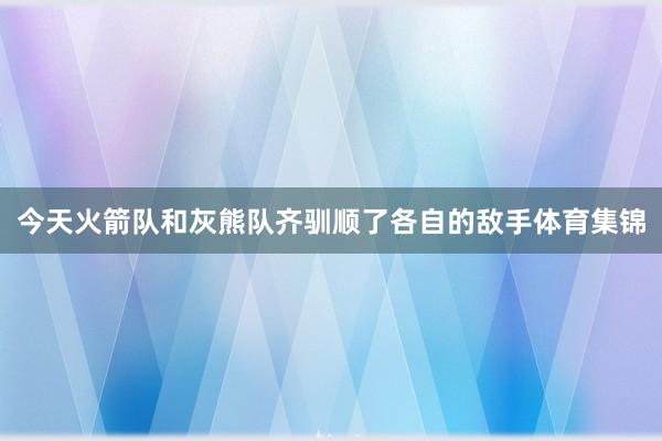 今天火箭队和灰熊队齐驯顺了各自的敌手体育集锦