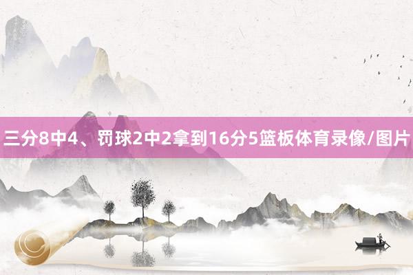 三分8中4、罚球2中2拿到16分5篮板体育录像/图片