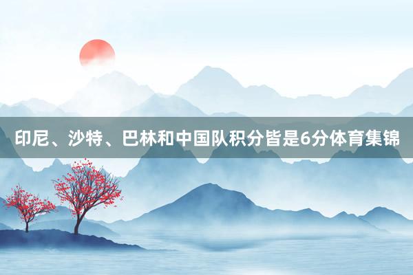 印尼、沙特、巴林和中国队积分皆是6分体育集锦