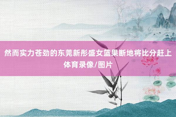 然而实力苍劲的东莞新彤盛女篮果断地将比分赶上体育录像/图片