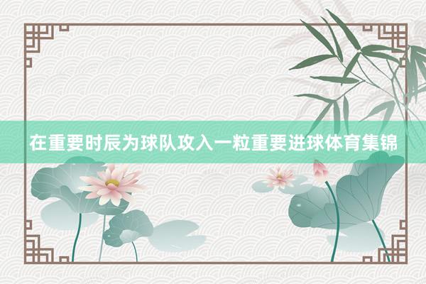 在重要时辰为球队攻入一粒重要进球体育集锦