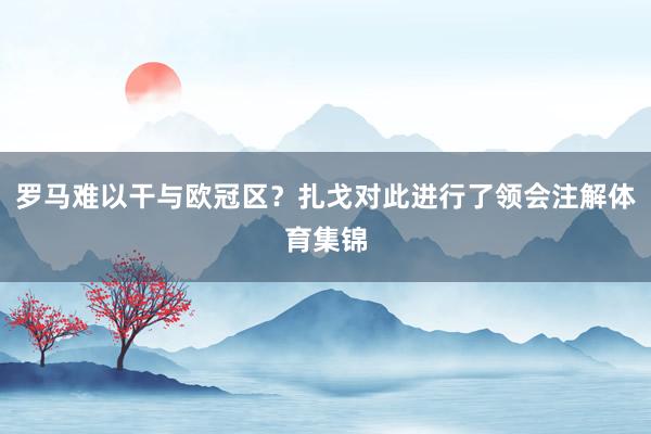 罗马难以干与欧冠区？扎戈对此进行了领会注解体育集锦