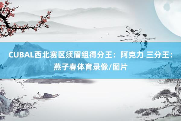 CUBAL西北赛区须眉组得分王：阿克力 三分王：燕子春体育录像/图片