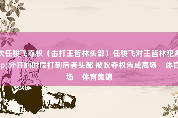 吹任骏飞夺权（击打王哲林头部）任骏飞对王哲林犯规&分开的时辰打到后者头部 被吹夺权告成离场    体育集锦