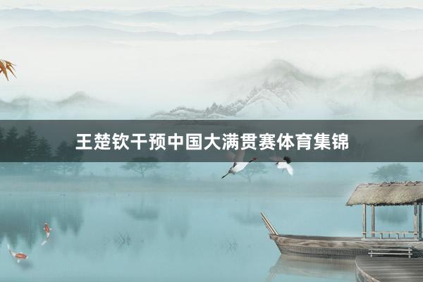 王楚钦干预中国大满贯赛体育集锦