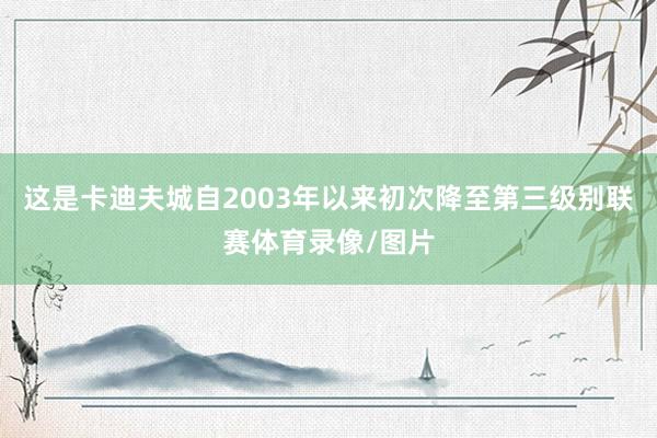 这是卡迪夫城自2003年以来初次降至第三级别联赛体育录像/图片