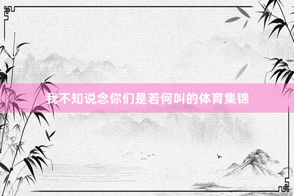 我不知说念你们是若何叫的体育集锦