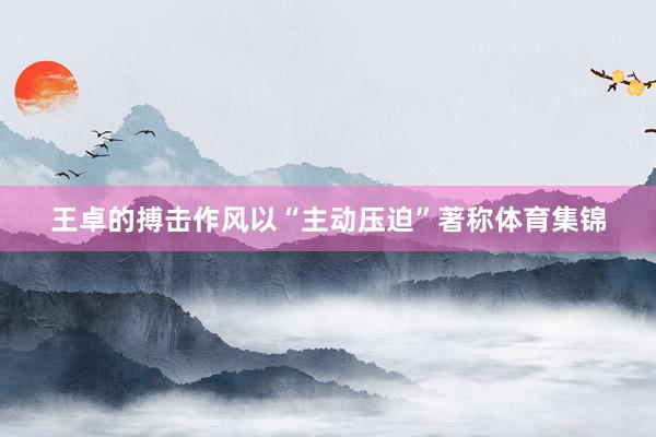 王卓的搏击作风以“主动压迫”著称体育集锦