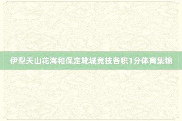 伊犁天山花海和保定靴城竞技各积1分体育集锦