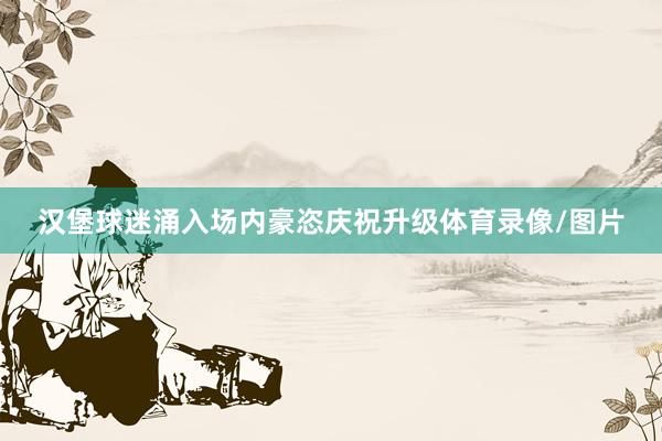 汉堡球迷涌入场内豪恣庆祝升级体育录像/图片