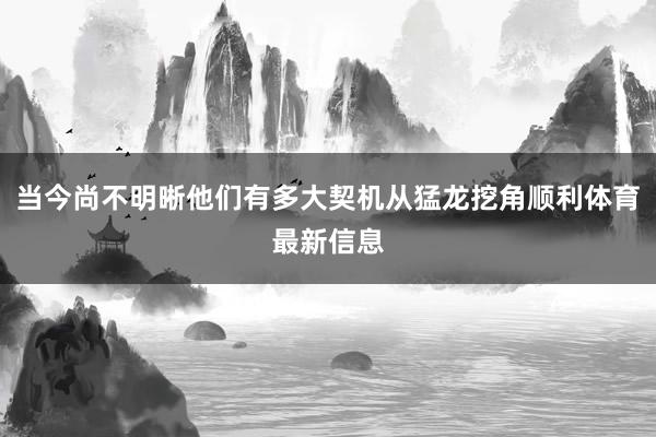 当今尚不明晰他们有多大契机从猛龙挖角顺利体育最新信息