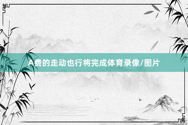 A费的走动也行将完成体育录像/图片
