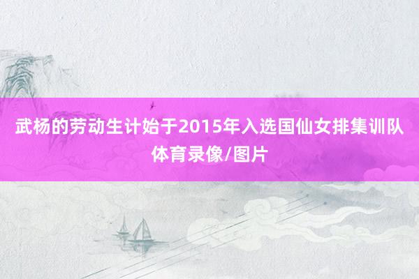 武杨的劳动生计始于2015年入选国仙女排集训队体育录像/图片