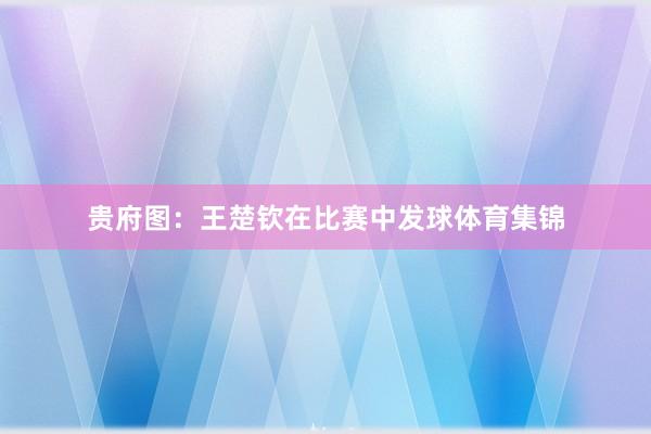 贵府图：王楚钦在比赛中发球体育集锦
