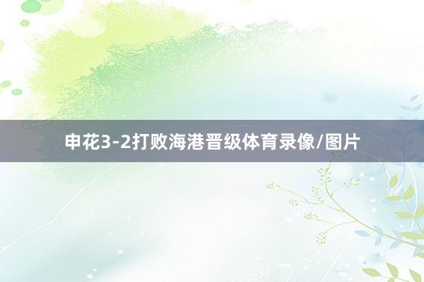 申花3-2打败海港晋级体育录像/图片