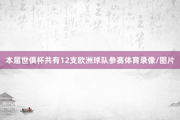 本届世俱杯共有12支欧洲球队参赛体育录像/图片