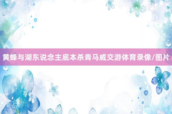 黄蜂与湖东说念主底本杀青马威交游体育录像/图片