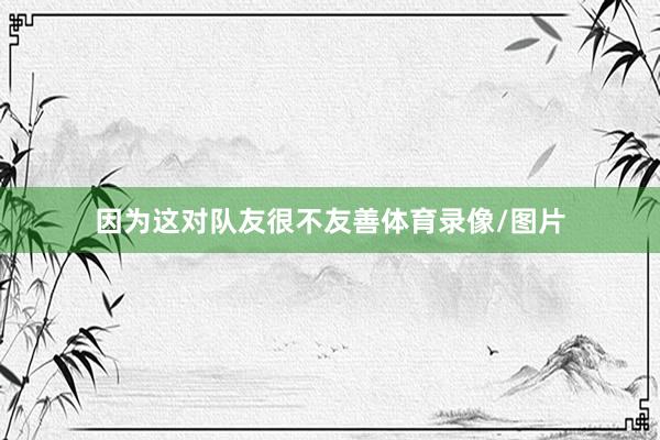 因为这对队友很不友善体育录像/图片
