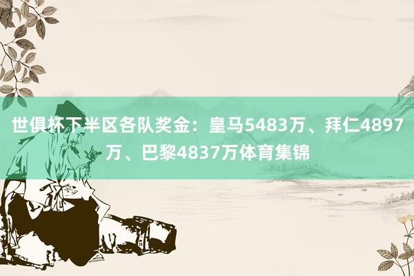 世俱杯下半区各队奖金：皇马5483万、拜仁4897万、巴黎4837万体育集锦
