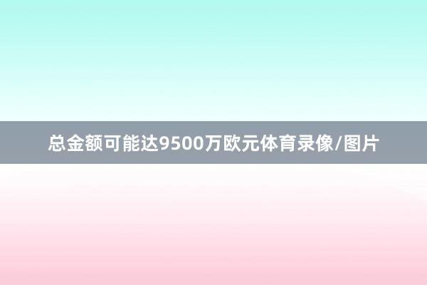 总金额可能达9500万欧元体育录像/图片