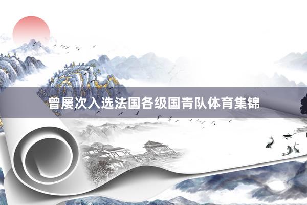 曾屡次入选法国各级国青队体育集锦