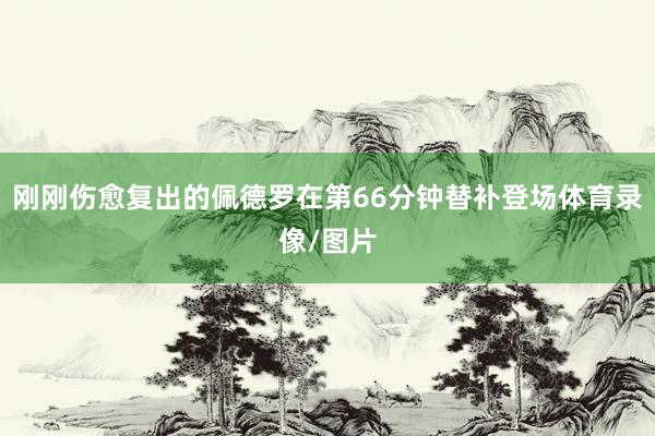 刚刚伤愈复出的佩德罗在第66分钟替补登场体育录像/图片