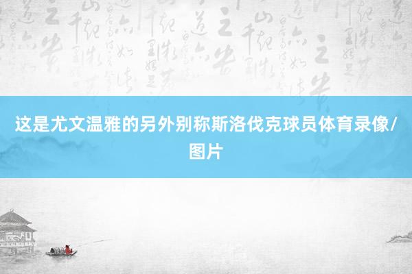 这是尤文温雅的另外别称斯洛伐克球员体育录像/图片