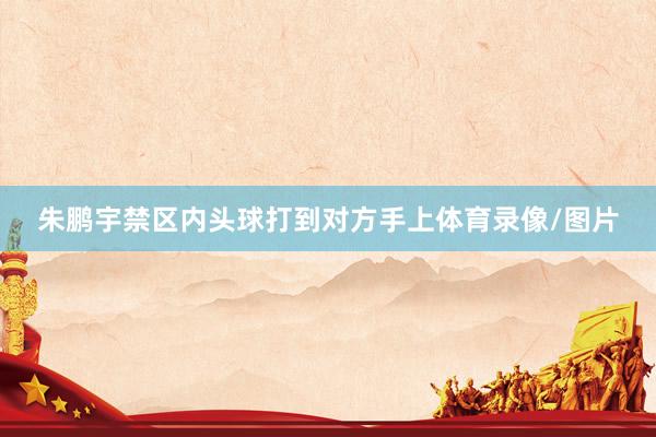 朱鹏宇禁区内头球打到对方手上体育录像/图片